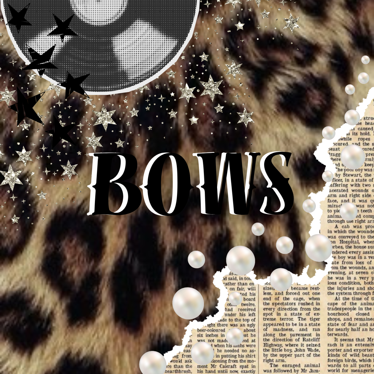 BOWS